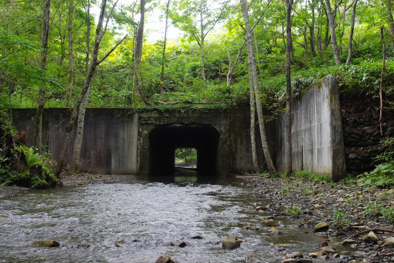 幾春別川上流の国道下のトンネル