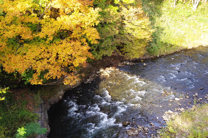 秋の渓流の画像